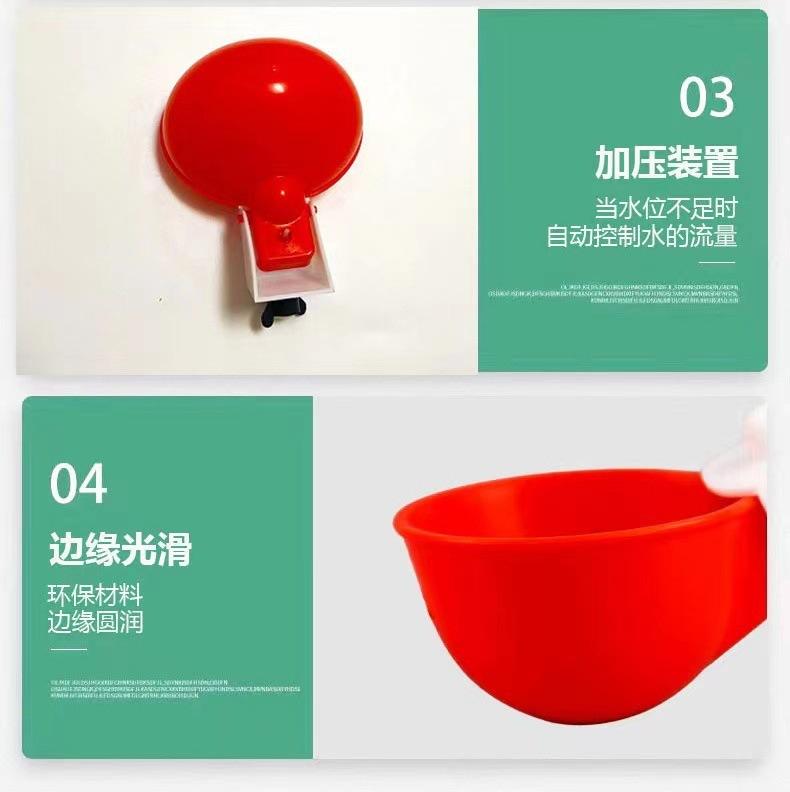 详情页 (7).jpg