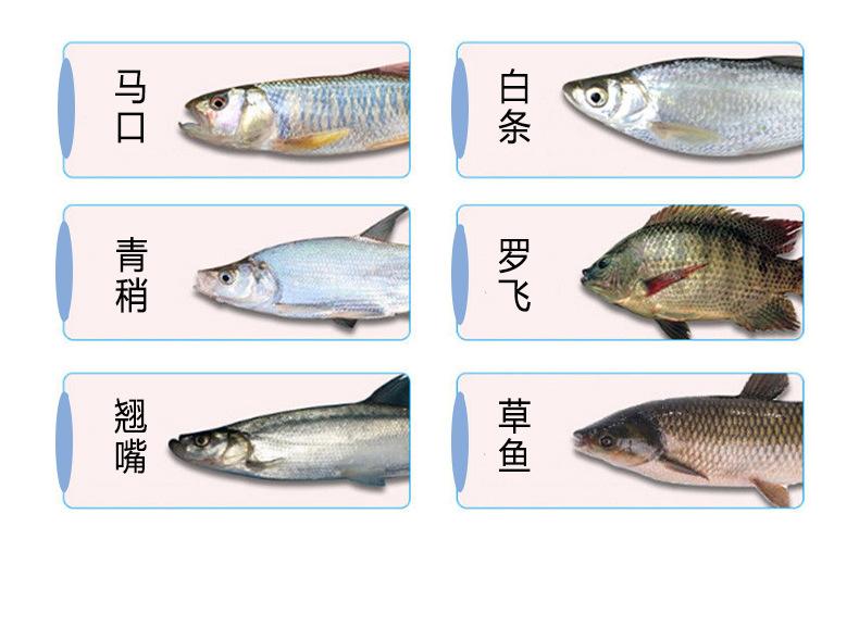 详情_04.jpg