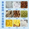 Parche para el Mareo Nanjing Tongrentang para Adultos, Parche Portátil Anti-Mareos para Viajes en Coche, Viajes, Mareo por Mar y Mareo por Movimiento