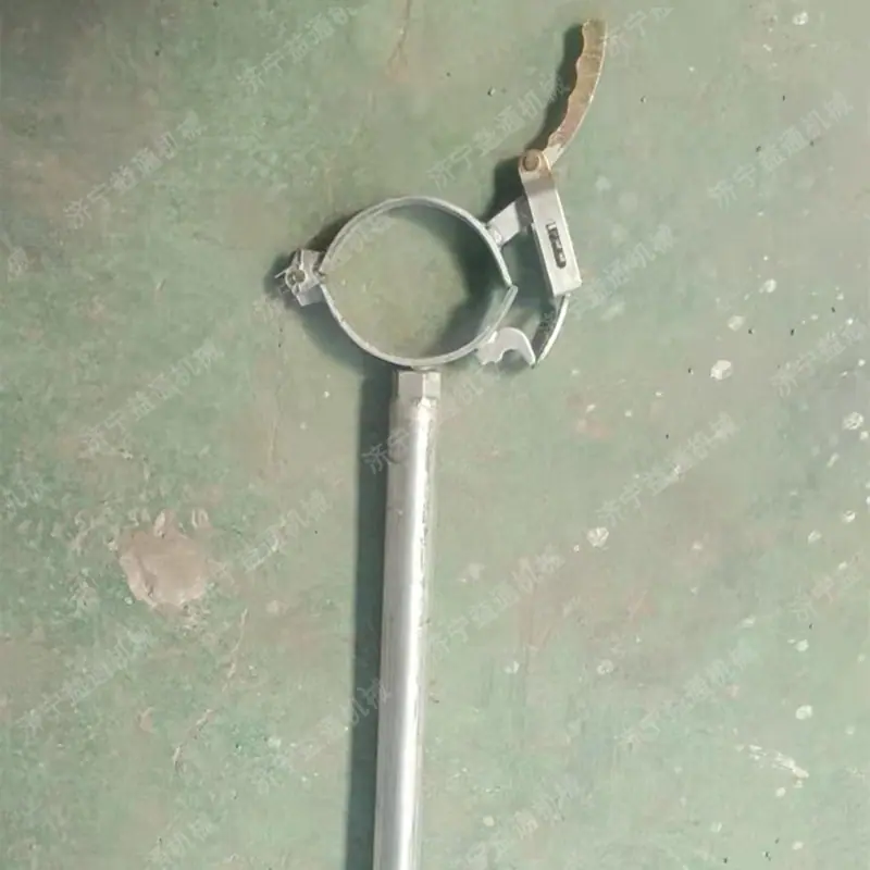 121.jpg