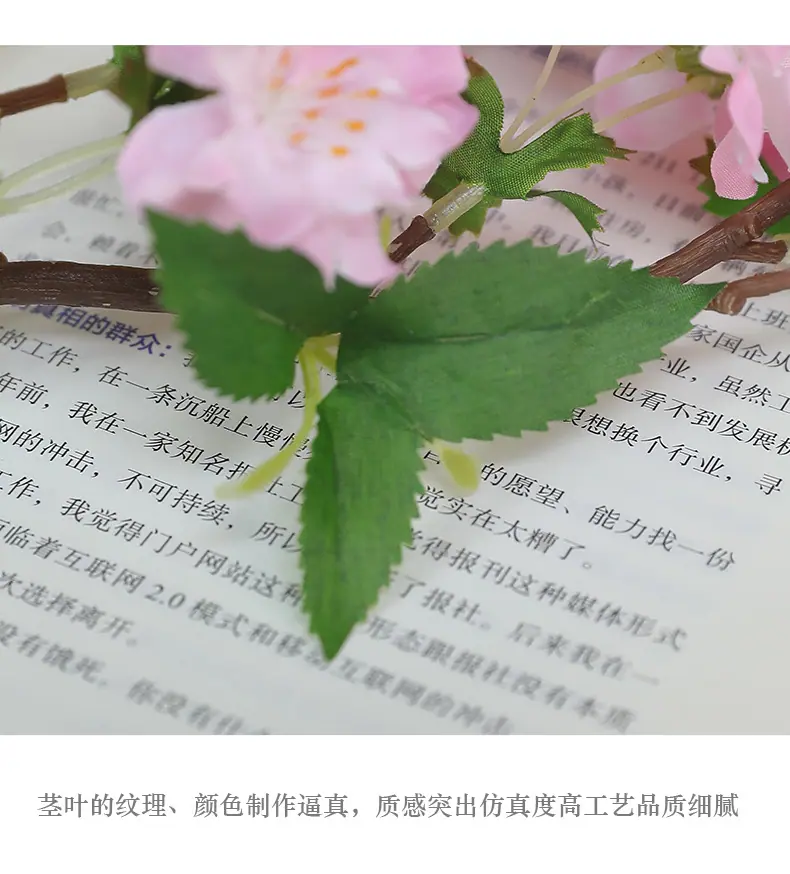 单枝小号好韵樱花-少花_11.jpg