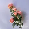 Rosa de Simulación Cinco Cabezas Rosa Redonda Rama Única Paquete Rosa Boda