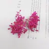 Material de flor de malla de seda, flor pequeña nacarada central, estambre, cuentas de yeso, centro de flor, multicolor, flor de media, flor de cristal, flor de papel, DIY