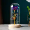 Flor Eterna Flor de Rosa Pantalla de Lámpara de Vidrio Flor de Simulación Navidad Día de San Valentín Regalo de Cumpleaños Regalos Pequeños Creativos Adornos