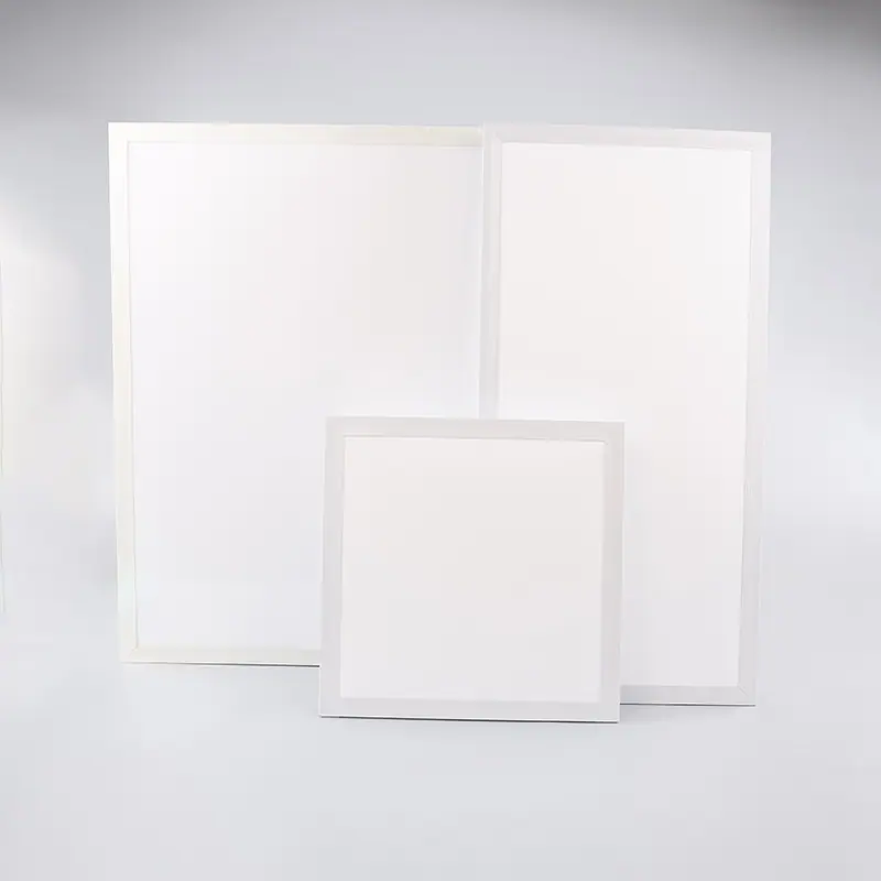 3T0A8516.JPG