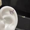 La cáscara rota es mi Xiao Mao Zhuang Zhou Meng mariposa aurora es un flash mariposa hueso de la oreja clavo acero de titanio tornillo coclear