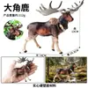 Crianças Simulação Veado-de-cauda-branca Animal Alce Veado Sika Modelo Ornamentos Sólidos Conjunto Brinquedos de Natal