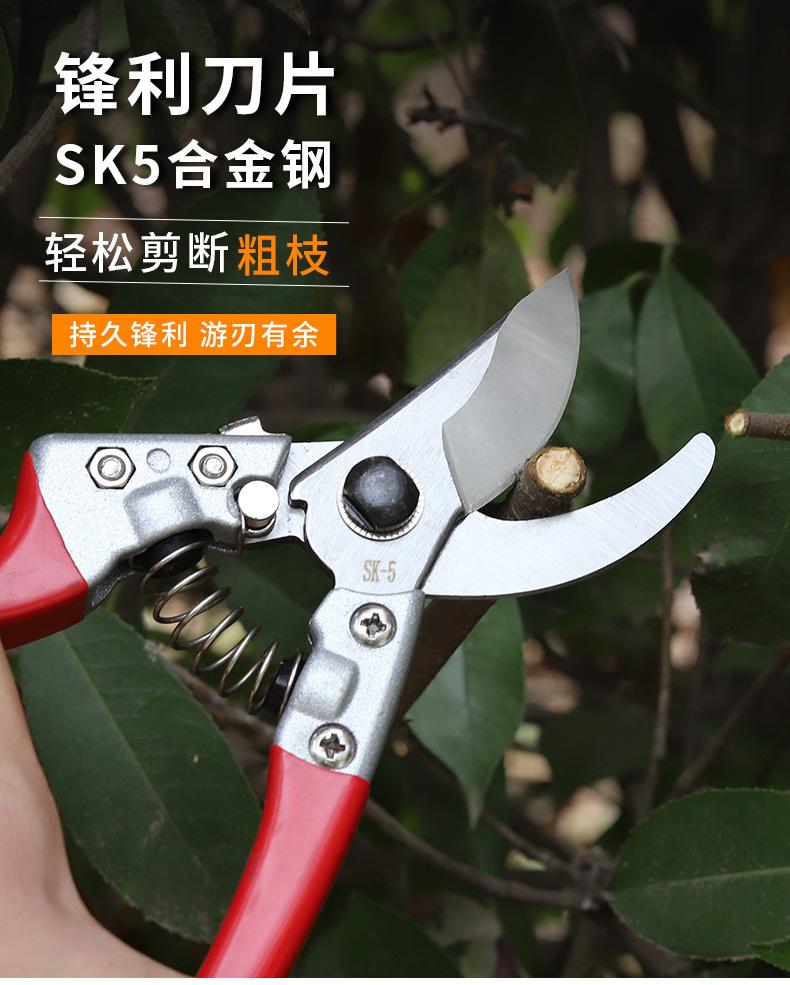 详情_01.jpg