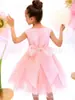 Novo vestido tutu de malha infantil para meninas, vestido de performance de aniversário, vestido de princesa rosa brilhante elegante para festa, transfronteiriço