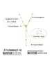 Collar para Clavícula de Lujo Ligero Europeo y Americano con Zirconia 5A, Cabeza de León Súper Brillante, Borla en Forma de Y, Juego de Pendientes y Pulsera con Colgante de Ágata