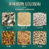 Parche Sanfu Tongjiao de Beijing Tong Ren Tang, Parche Sanfu de Artemisa para Adultos y Niños, Parche de Acupunto de Verano, Parche Sanfu de Moxibustión