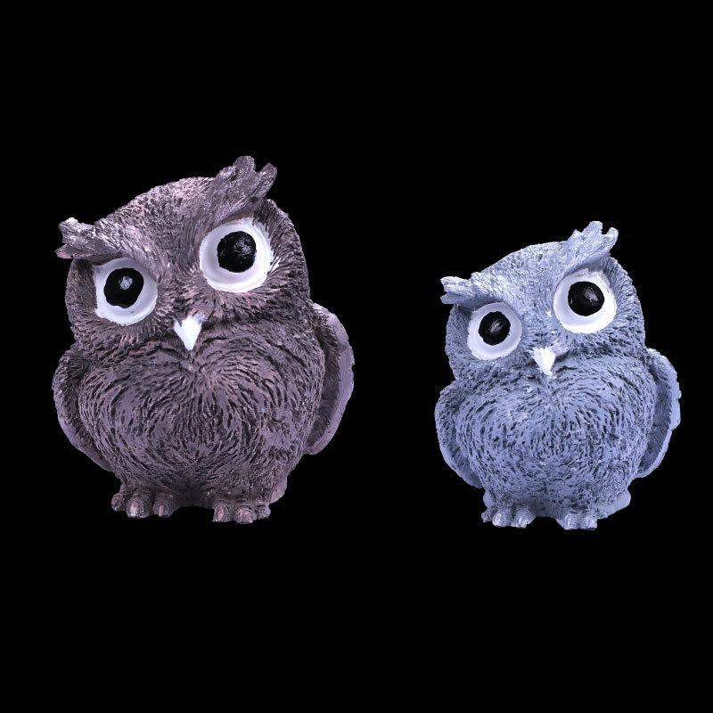 20764325533_1227686979