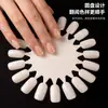 Tabela de cores de esmalte oval com 20 cores, transparente e natural, para salões de beleza, usada para praticar e exibir esmaltes, placa de exibição de nail art, gabarito de nail art