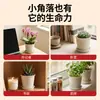 Maceta larga de cerámica de imitación maceta pequeña para escritorio suculentas, plantas de jade, flores, cactus, maceta de plástico engrosado para prevenir la pudrición de raíces