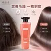 Shampoo Perfumado de Aminoácidos Zhenzirou 500ml em estoque, fragrância duradoura, cabelo macio e volumoso, atacado