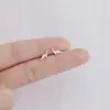 Pendientes de Plata de Ley 925 Estilo Nuevo Primavera Verano Pequeños Celebridad de Internet Douyin Más Vendidos Pendiente Simple Moderno Estudiante Mujer Noche