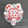 Etiquetas de Nombre Reflectantes para Apoyo de Fans, Colgantes Mini Llavero de Tela No Tejida DIY, Merchandising de Conciertos de Celebridades