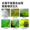 Removedor de Algas para Acuario, Removedor de Musgo, Removedor de Algas Verdes, Removedor de Algas Marrones, Matador de Algas Verdes y Algas Filamentosas, Purificador de Calidad del Agua