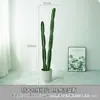 Pilar de Fada Simulação Nórdica Sem Espinhos Grande Chão Planta Verde Tropical Desértica Régua Medidora Cacto Falso Vasos Enfeites
