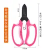 Kit de Cultivo de Flores Cuidado de Flores Cortadas Pelador de Espinas Guantes de Jardinería Tijeras para Flores Cubo Grande para Flores Conservante