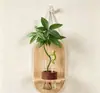 Conjunto de Plantas Verdes Hidropônicas de Parede com Suporte de Parede de Madeira Natural para Sala de Estar, Quarto, Mesa, Decoração Fresca, Plantas Fáceis de Cuidar