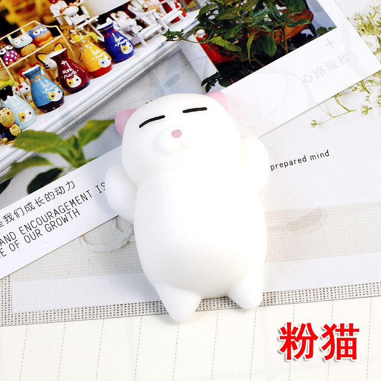 粉猫.jpg