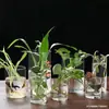 Atacado Várias Especificações Tubo de Vidro Transparente Reto Micro Paisagismo Vidro de Borossilicato Alto Plantas Hidropônicas Tanque de Peixes Pequeno Garrafa de Paisagismo