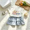 Conjunto de Meninas Doce Verão Novo Estiloso Versátil Desenho Animado Manga Curta Estiloso Doce Xadrez Estilo Coreano Duas Peças Tendência