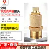 Tapón Hexagonal, Silenciador de Plástico, Cobre Cónico Largo Acero Inoxidable 304 Silenciador de Válvula Solenoide Neumática 1/8