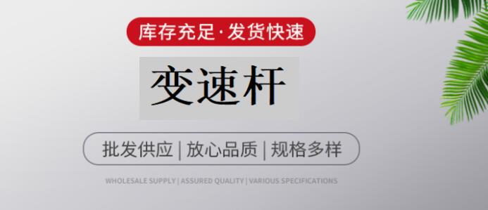 变速杆详情图