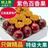 Maracujá Fresco, 2,5kg Frutas Grandes, Frete Grátis, Fruta Sazonal Premium, Purê de Suco de Casca Roxa Yunnan Guangxi, Caixa Fechada 2/ 2,5kg