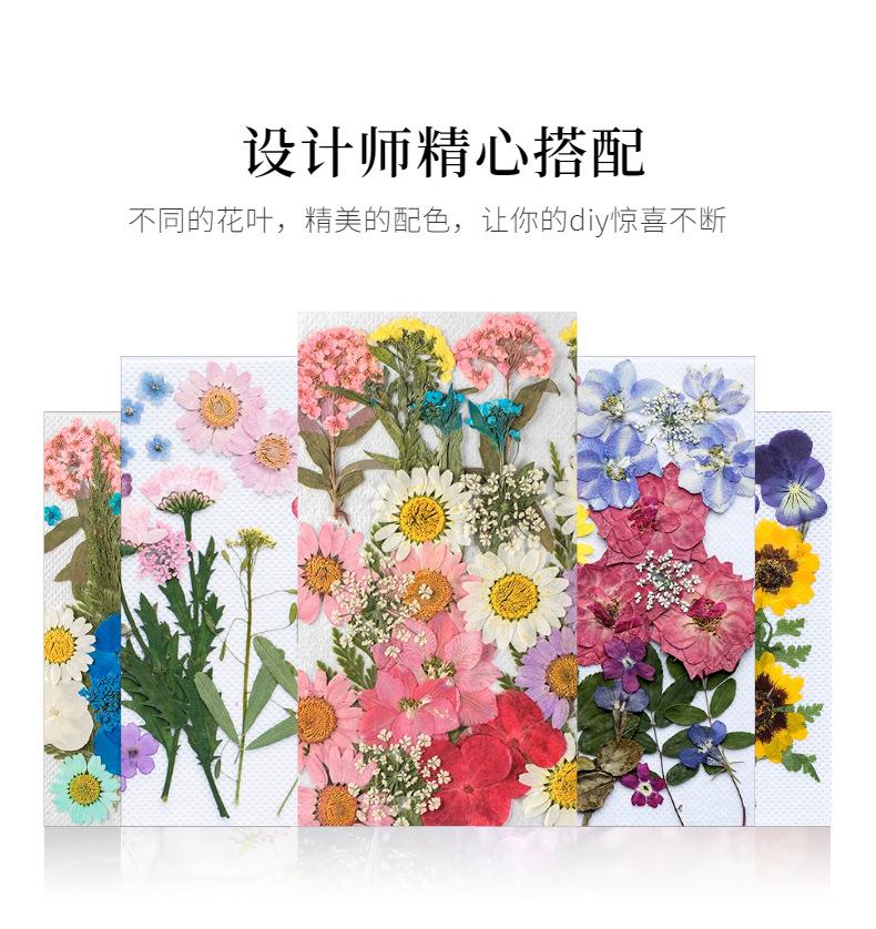 主4.jpg