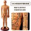 Folha de Cobre para Acupuntura Uso Doméstico Medicina Tradicional Chinesa Silicone Modelo de Diagrama de Meridianos do Corpo Humano com Pontos de Acupuntura