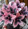 Fornecimento transfronteiriço de flores de epiderme coloridas com folhas, caules de raízes de flores de epiderme, bulbos de flores de epiderme chama de pavão e sementes de flores no atacado