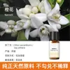 Vela de Aromaterapia para Plantas Transfronteriza Aceite Esencial Aceite Único Soluble en Aceite Jabón Artesanal DIY Jabón en Frío Bálsamo Vela Aceite Esencial de Aromaterapia