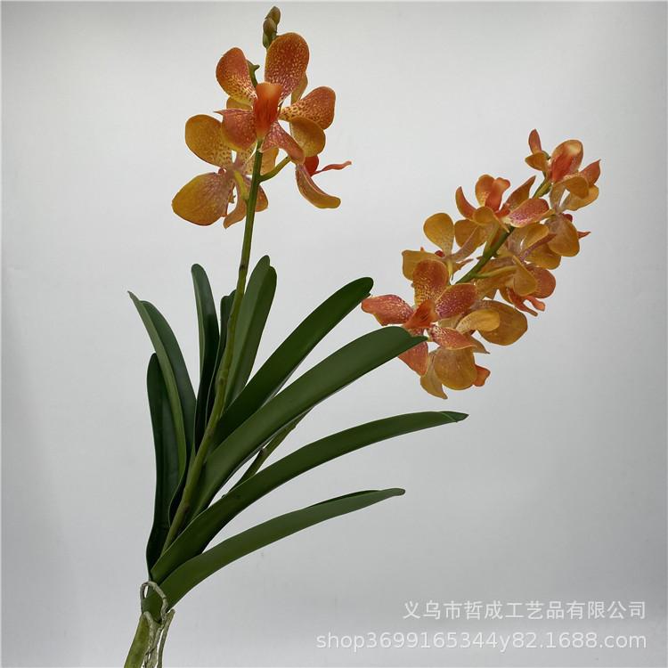 微信图片_20201031215700.jpg