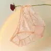 Cosas Privadas Dulces Calzones de Encaje Hueco Sexy para Mujer Malla Transparente de Cintura Baja Pura Deseo Hada
