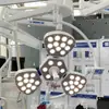 Lámpara Quirúrgica Sin Sombras, Belleza Médica, Dental, Lámpara de Examen Quirúrgico Médico para Mascotas, Lámpara Sin Sombras Móvil, Lámpara Auxiliar de Iluminación Quirúrgica