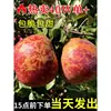 Maçã Feia Zhaotong Yunnan Maçã Coração de Açúcar Fruta Fresca da Estação Caixa Inteira Presente de Meio Outono Crocante Doce Red Fuji
