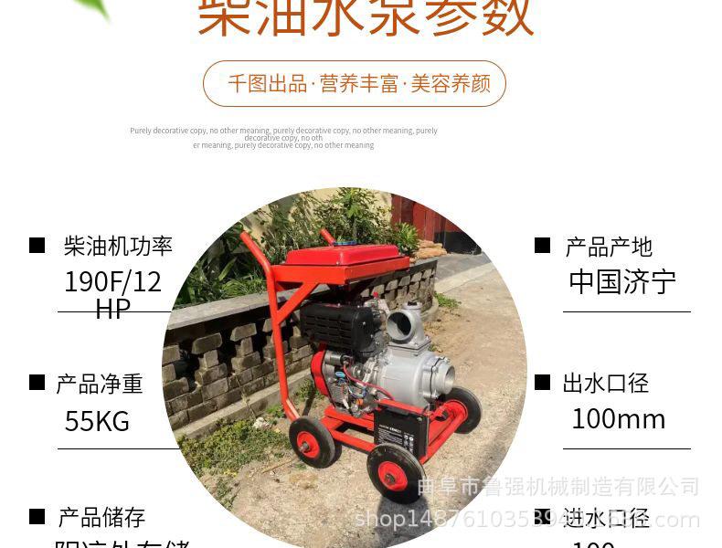 淘宝天猫黄色小清新风格龙眼水果详情页模板_05