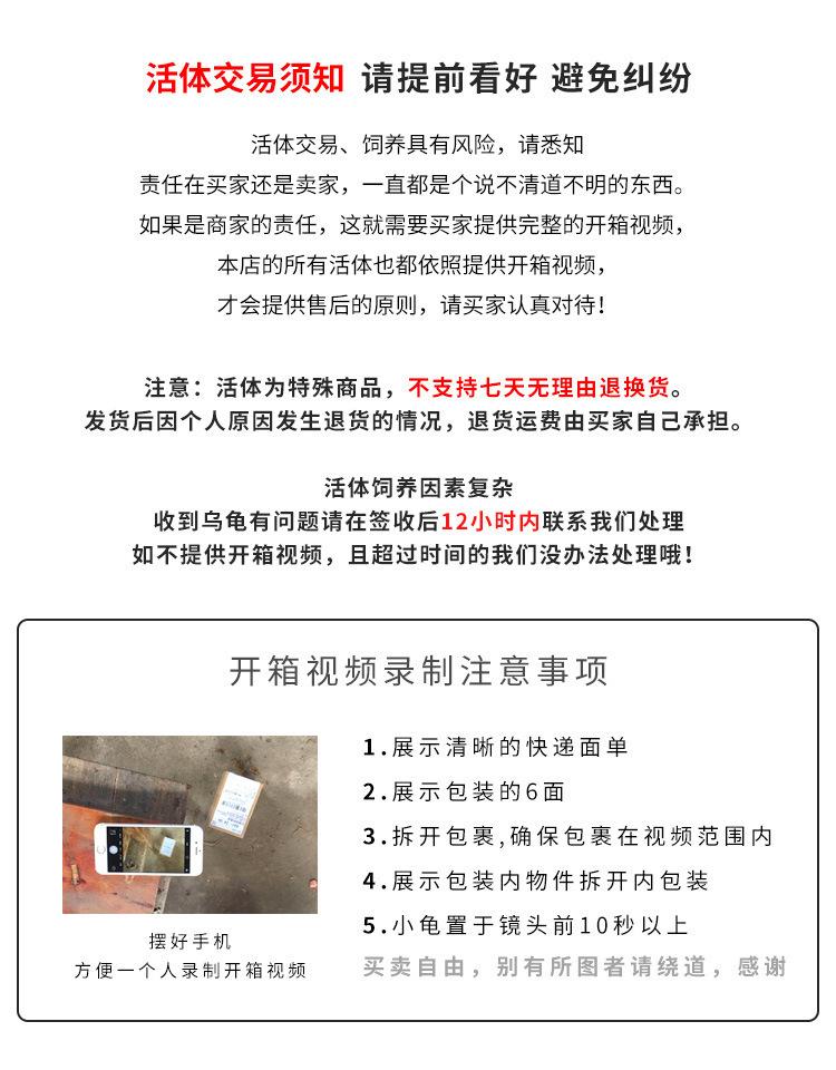 11383319232_1374060563