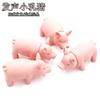 Brinquedo vocal para animais de estimação, porquinho, cachorro, molar, brinquedo interativo, simulação, porco, cachorro, suprimentos para treinamento em estoque, atacado