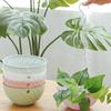 Maceta colgante para plantas colgantes, maceta de plástico de autorriego para interiores específicamente para cultivar potos