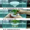 Criativo Aquário Vaso de Flor Flutuante Cesta de Plantio Hidropônico Simbiose Peixe e Planta Decoração de Aquário Plantas Aquáticas Verdes Planta em Vaso Suspensa