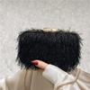 2025 Nueva Bolso de Cena Elegante Transfronterizo Bolso de Hombro Clutch Bolso de Mujer Bolso Acrílico Estilo Dama Bolso Caja de Maquillaje