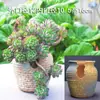 Vasos de Cerâmica de Mestre Oleiro Antigo com Abertura Larga, Vasos de Flores Multiuso, Vasos Extra-Grandes Estilo Penhasco, Vasos Extra-Grandes com Abertura Larga e Áspera