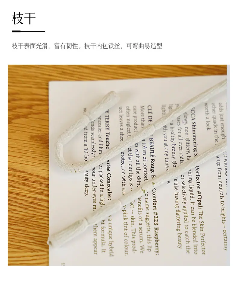 千羽4头发财菊_16.jpg