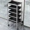 Nuevo Carrito de Peluquería, Carrito de Herramientas para Salón de Belleza, Estante de Almacenamiento Multifuncional, Carrito de Bar de Peluquería, Carrito para Permanente y Tinte de Barbería, Al por Mayor