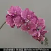 Flores de Orquídea Realistas de 38 pulgadas de Amazon para Fondos de Boda y Decoraciones Florales Orquídeas Artificiales