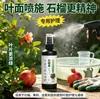 Solução nutritiva especial para romãzeiras, contendo micronutrientes solúveis em água, projetada para romãzeiras em vasos para promover a floração, o pegamento dos frutos, prevenir a queda dos frutos e combater o amarelamento das folhas
